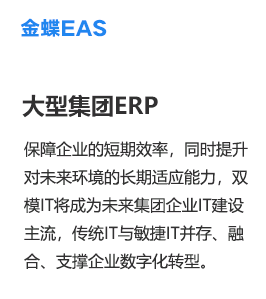 金蝶EAS
